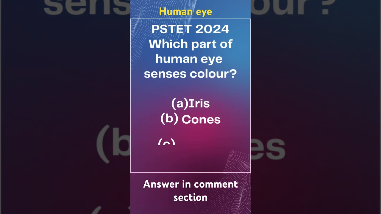 MCQ #pstet2024 #pstetpaper2 #shortsvideo #pstet #science #trending #humaneye #biology