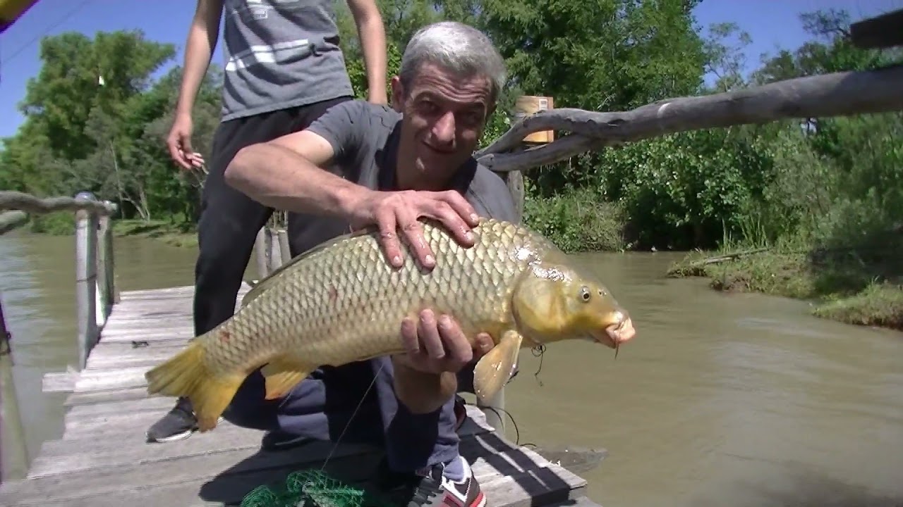 PESCA en ENTRE RIOS 2022 🎣 (EL BRAVO)