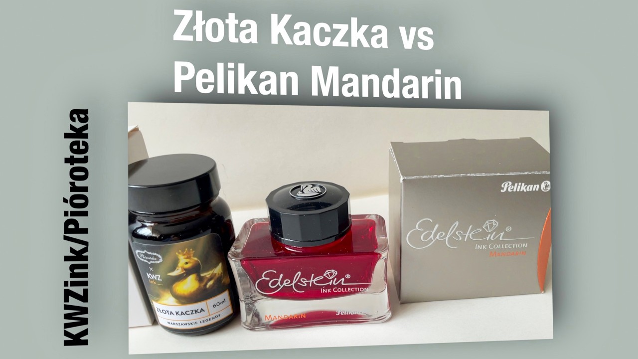 KWZink/Pi&oacute;roteka - Złota Kaczka vs Pelikan Mandarin