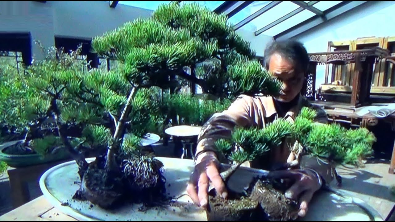 Penjing - Paisajes en miniatura