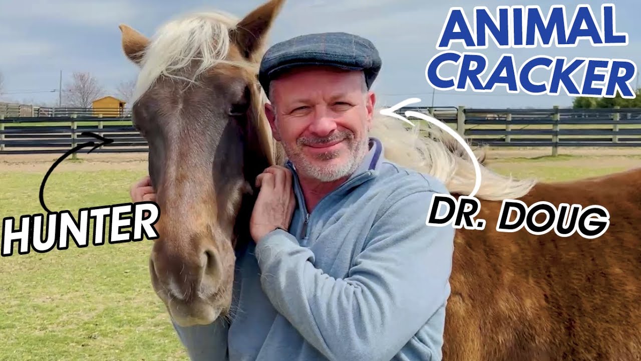 BEAUTIFUL RESCUE HORSE NEEDS A CHIROPRACTIC ADJUSTMENT
