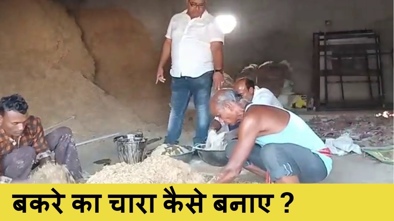 बकरो का चारा कैसे बनाए | Bakro ka Chara Kaise Banaye | Gulam Bhai Ke Nuskhe | Hindi |