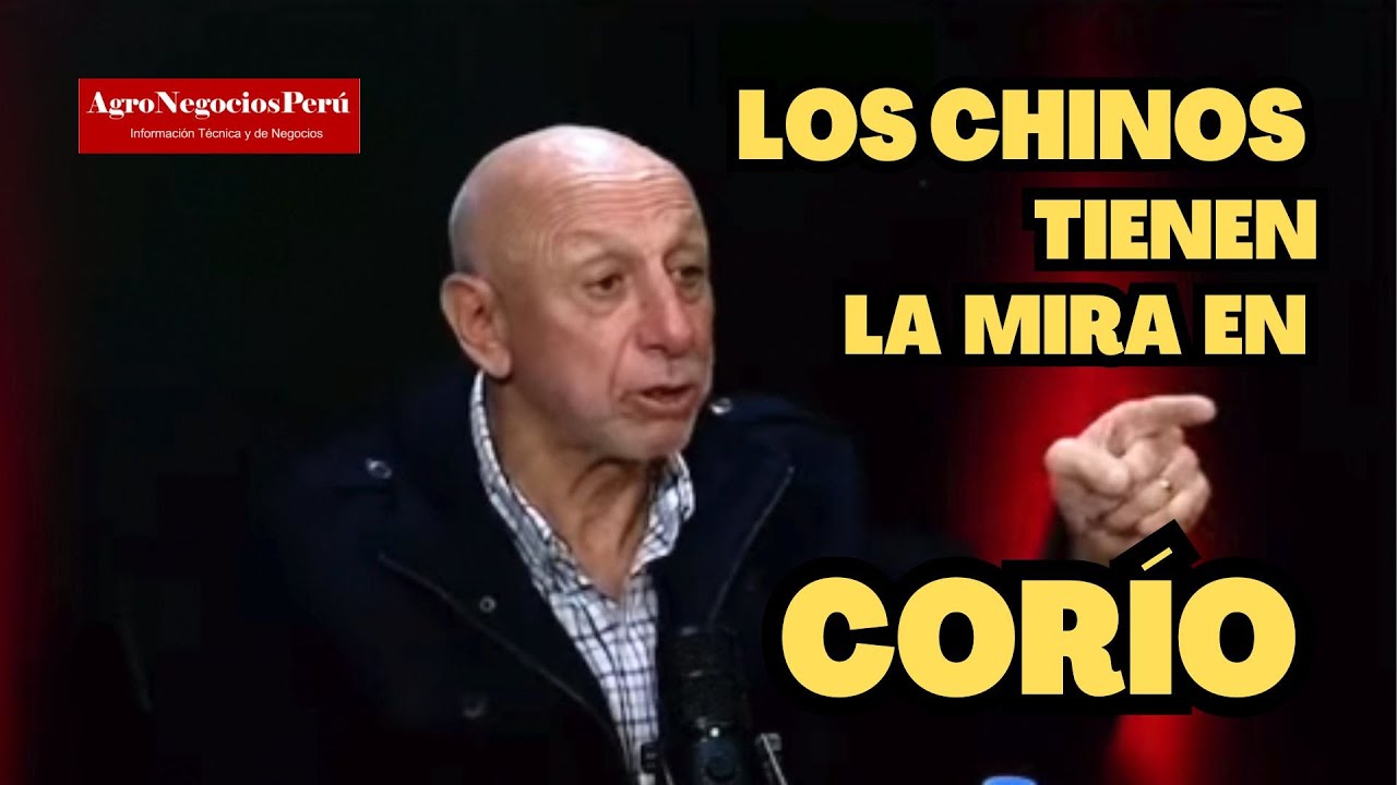 CORÍO: Si otros no lo hacen, los chinos lo harán, advierte congresista José Cueto