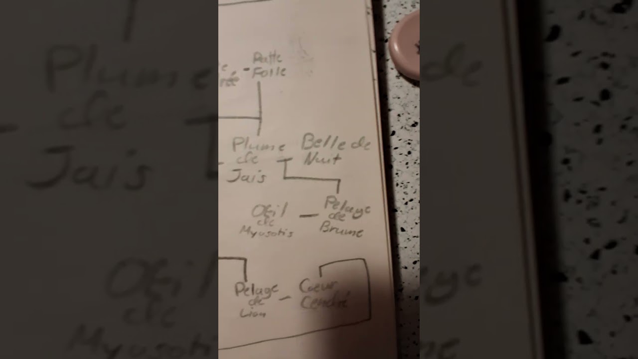 Arbre Généalogique d'Étoile de Feu !