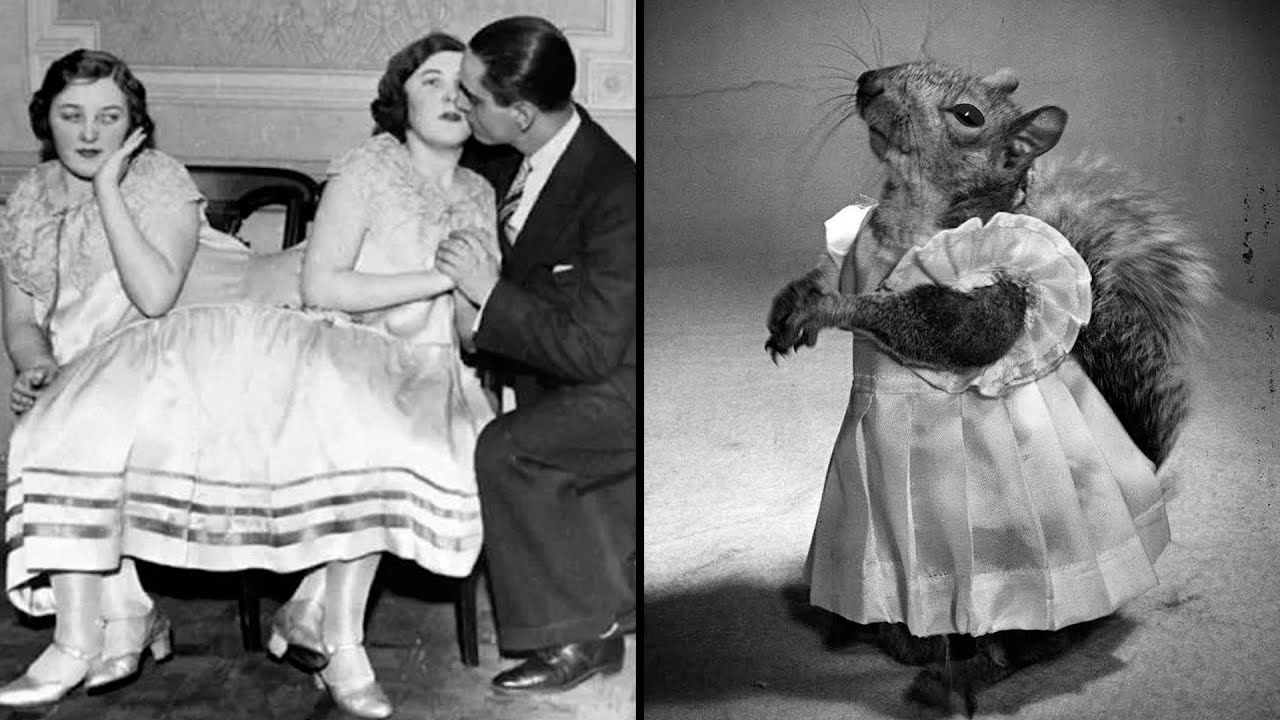 Rare Historical Photos and the Amazing Stories Behind Them