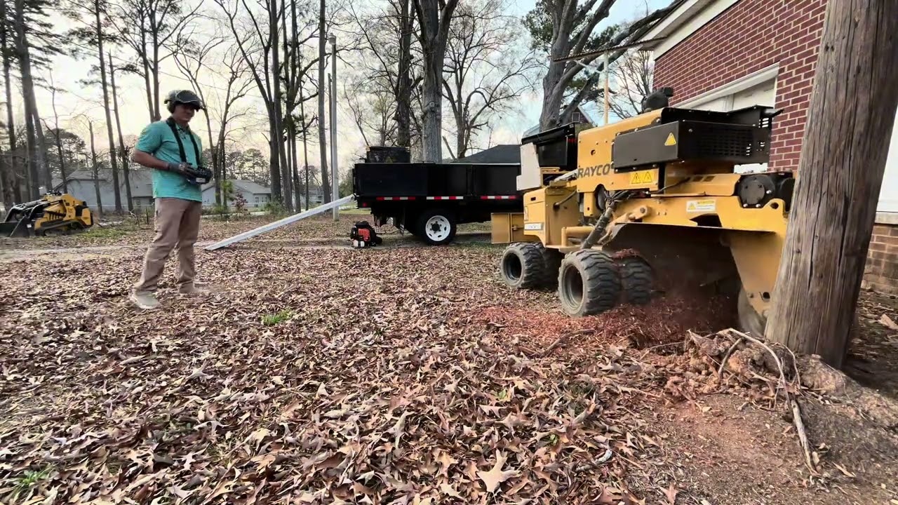 Helene cleanup continues! Rayco RR55 and Vermeer s925tx