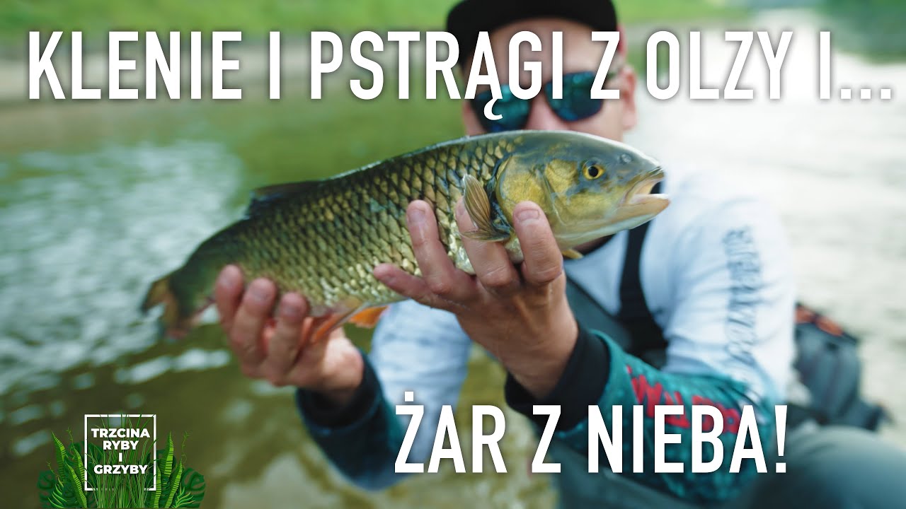 Klenie i pstrągi z Olzy i... żar z nieba!