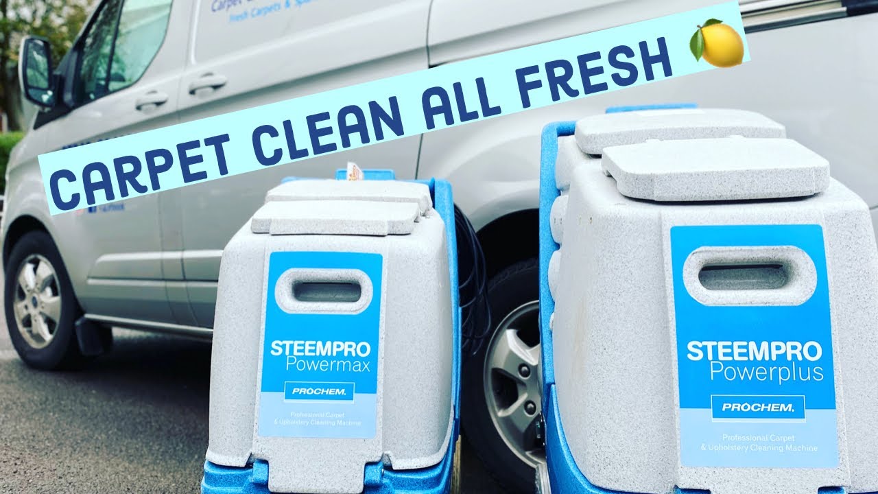 In the dry Carpet Cleaning