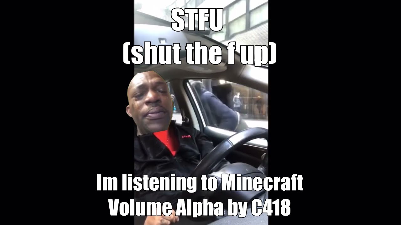 STFU I'm listening to Minecraft Volume Alpha