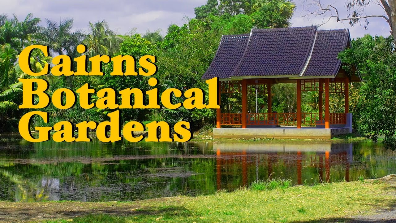 The Cairns Botanic Gardens & Tanks Arts Centre : The Best FREE thing to do in Cairns #botanicgardens