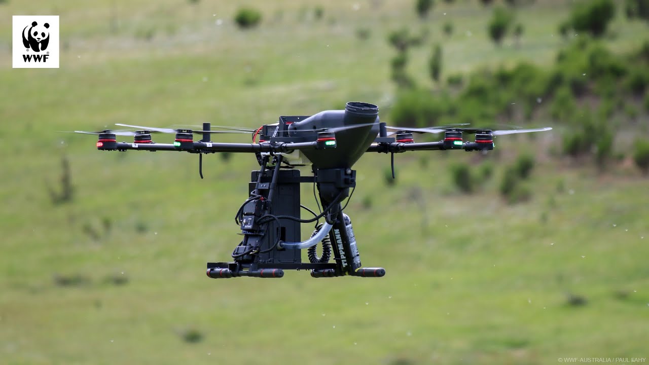 Tree-Planting Drones 🌳🌱 | WWF-Australia