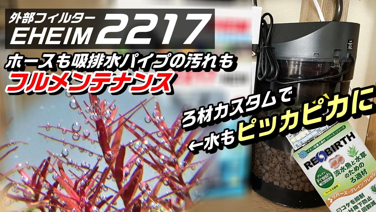 【アクアリウム】100日分の汚れ！90cm水草水槽の外部フィルターをろ材追加してフルメンテしたら状態爆上がりしました #aquarium #外部式フィルター #ネイチャーアクアリウム #エーハイム