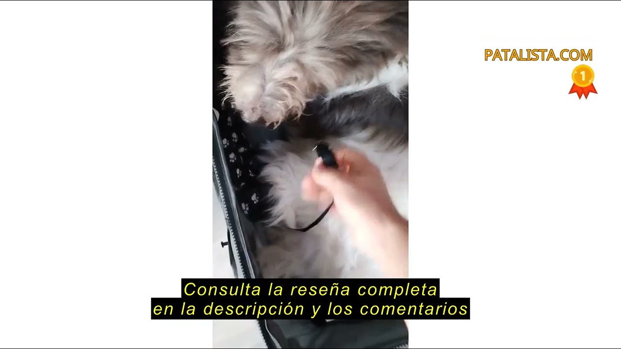 Reseña del PawHut Carrito para Perros Plegable Cochecito para Perros Pequeños Cochecito para Mascota