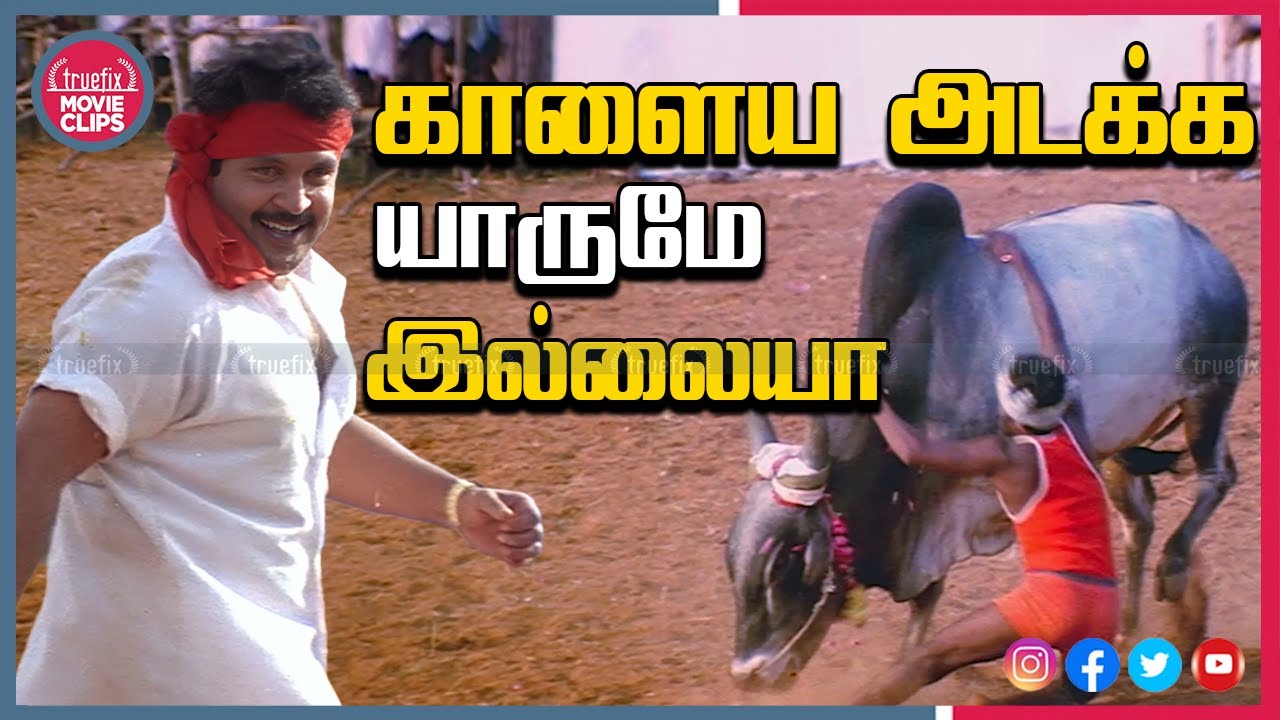 Rajakumaran Tamil Movie Scene | Prabhu Nadhiya Meena |Jallikattu Pongal Festival |Truefix Movieclips