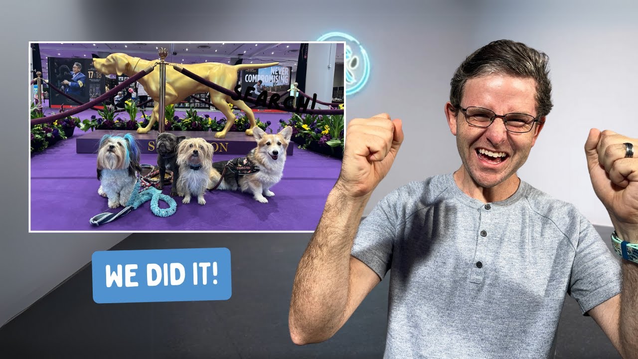 🏆 Westminster Dog Agility Championship Recap – Finals, Clean Runs & a Big Win! 🐾