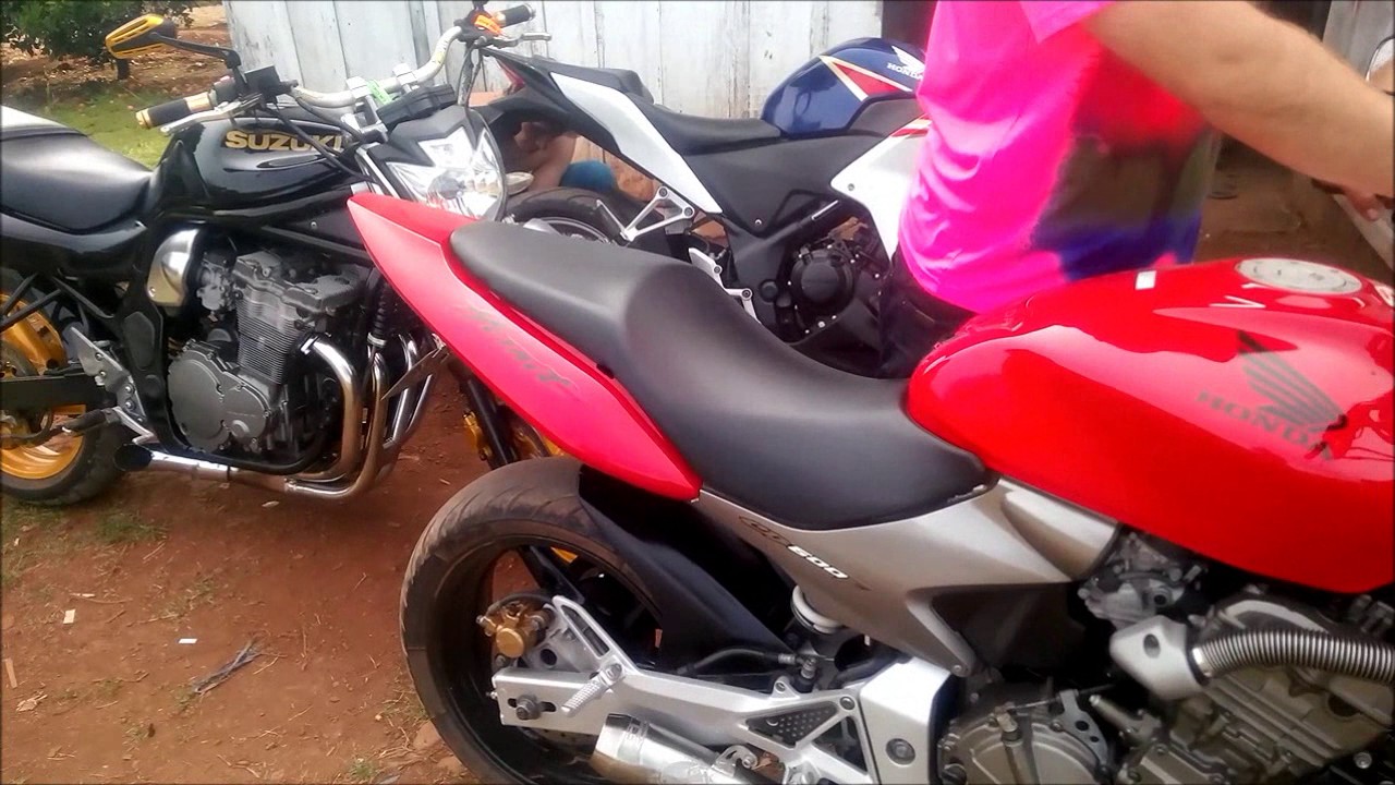 Hornet vs Bandit - Qual berra mais?