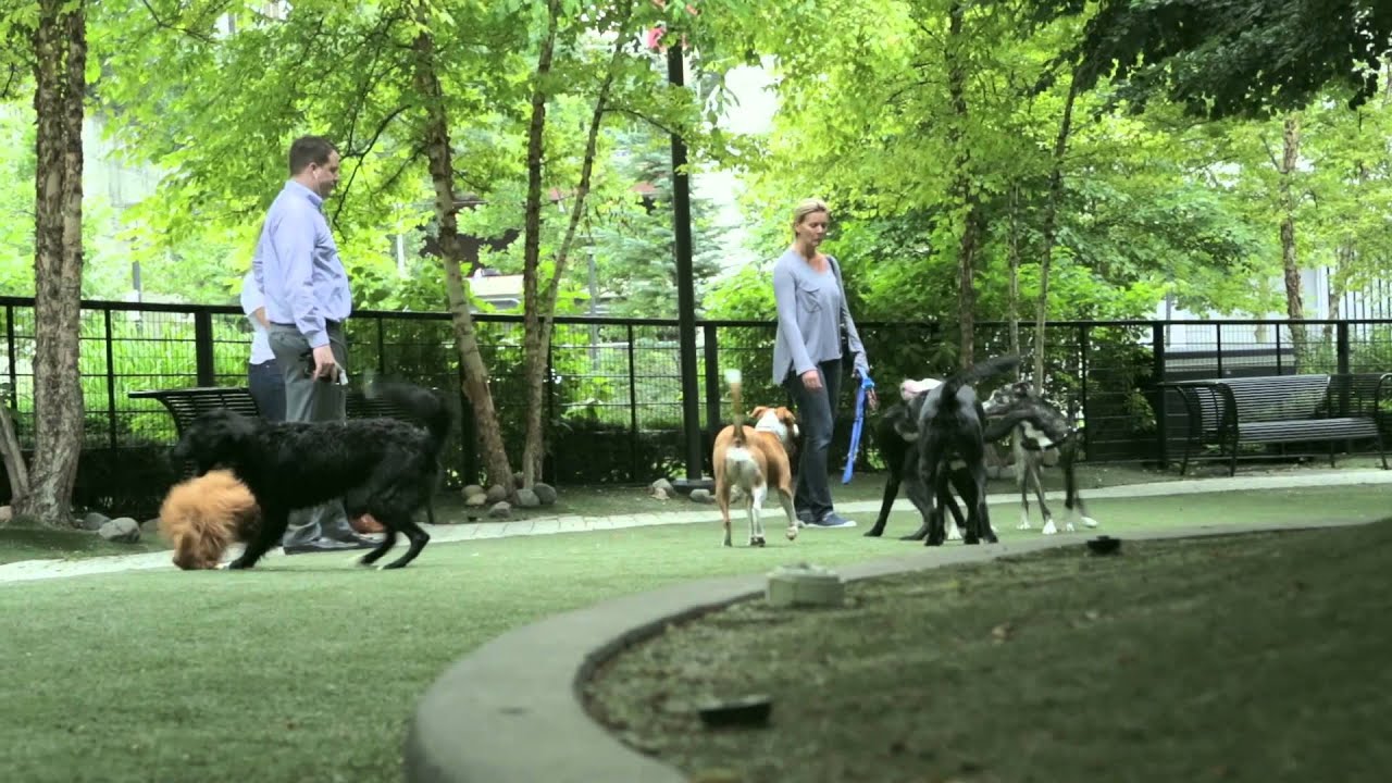 The Park at Lakeshore East