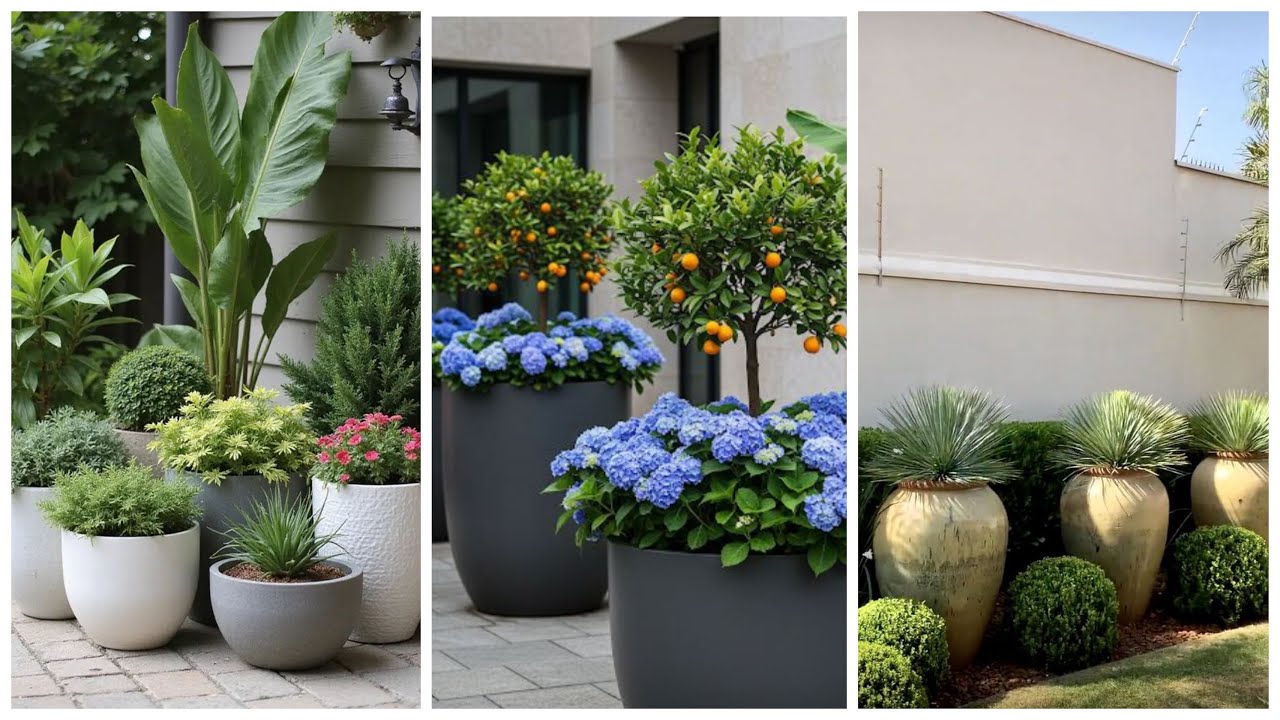 Large Potted Plants Outdoor ideas | Outdoor artificial Garden ideas | large potted plants outdoor
