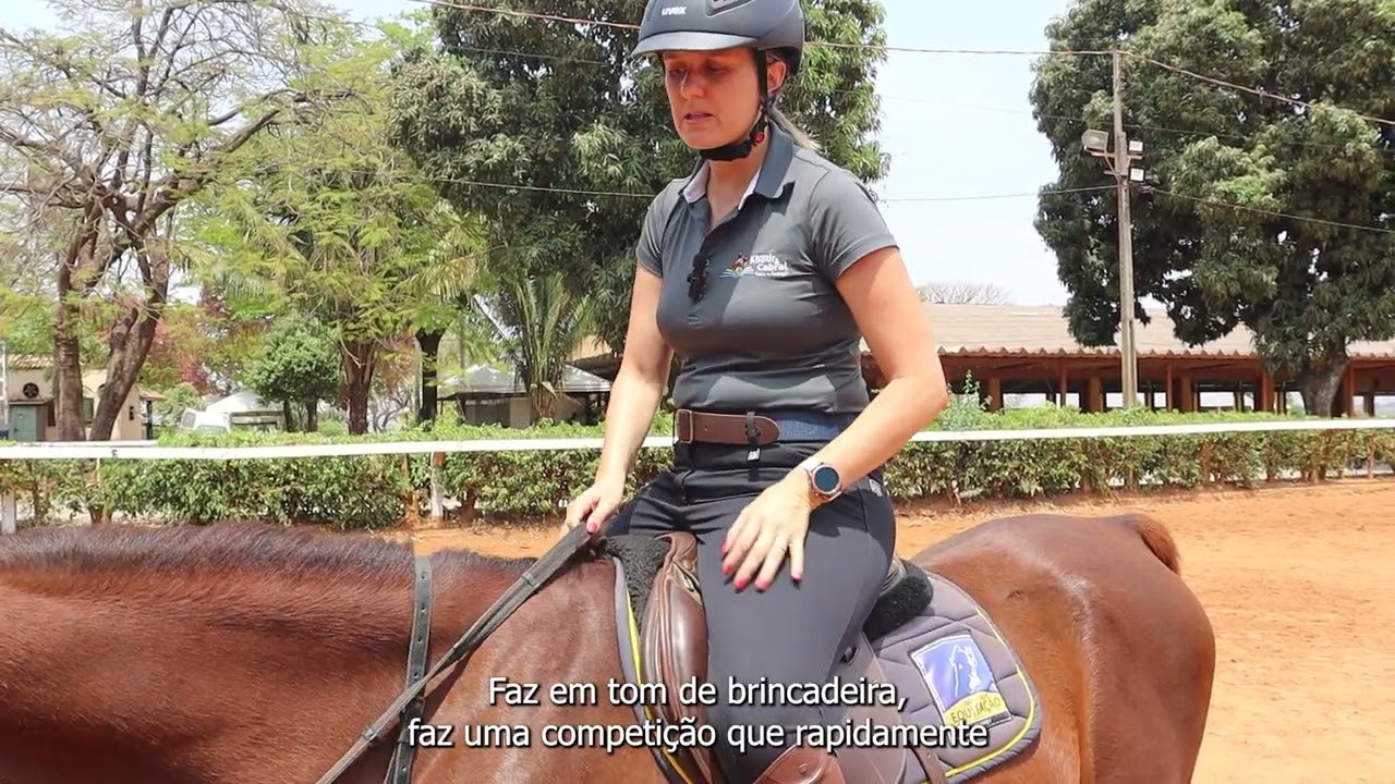 Exercício de rédeas