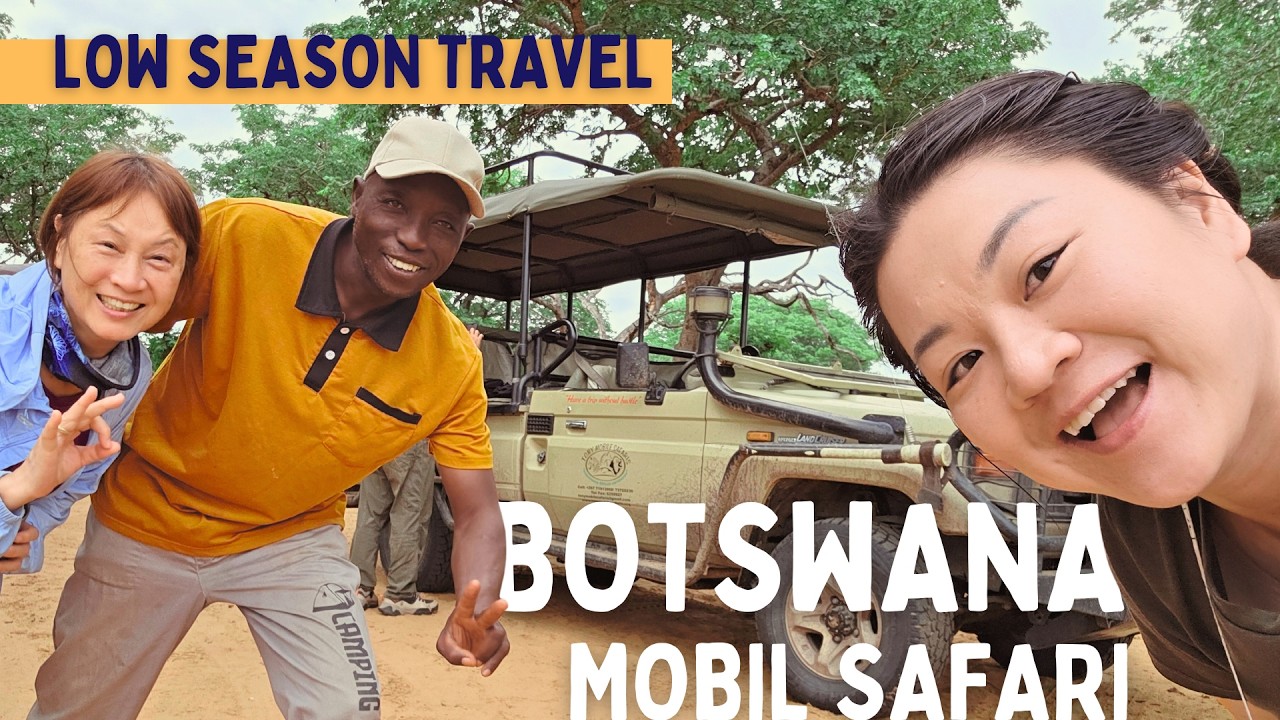 Chobe National Park & Moremi, Botswana🇧🇼︱5D5N Mobil Safari (What to expect for green/low season)
