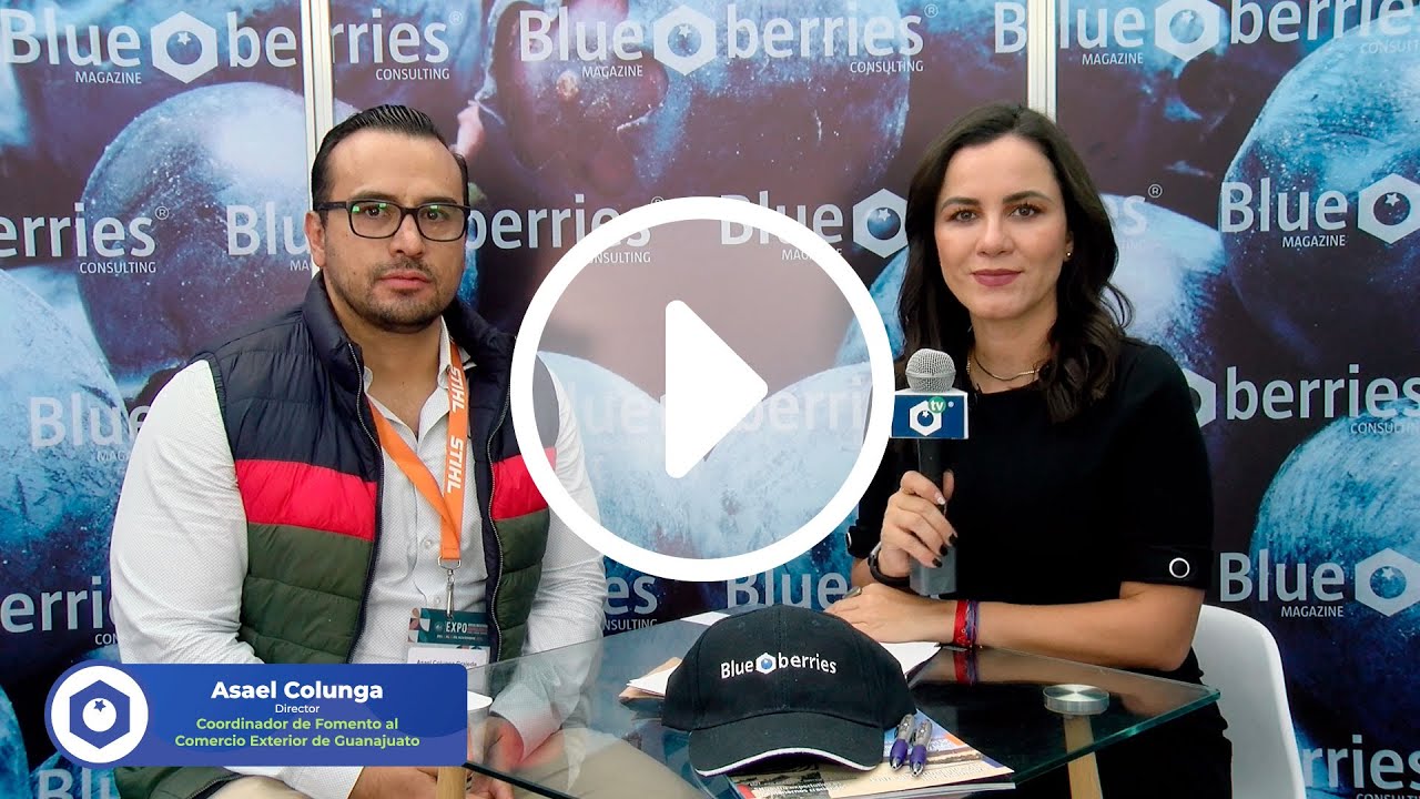 COFOCE - Entrevista por Blueberries Consulting