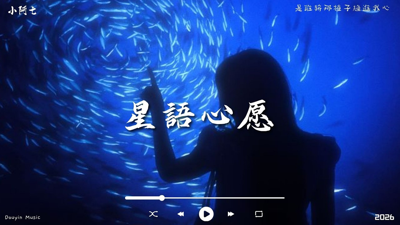 趙乃吉 - 星語心愿「我要控制我自己 不會讓誰看見我哭泣」【動態歌詞】♪