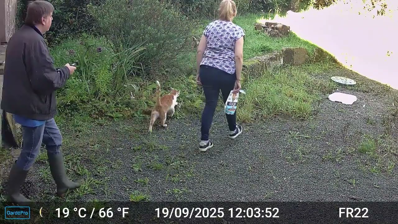 Pictures & Videos GardePro A3 Trail Camera 9 of 12 FR22 Part 2 Côtes d'Armor, Brittany, France