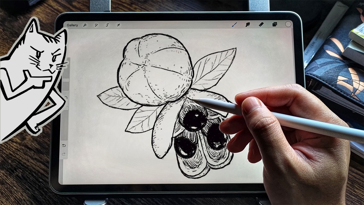 How to draw the Ackee fruit 🍎 