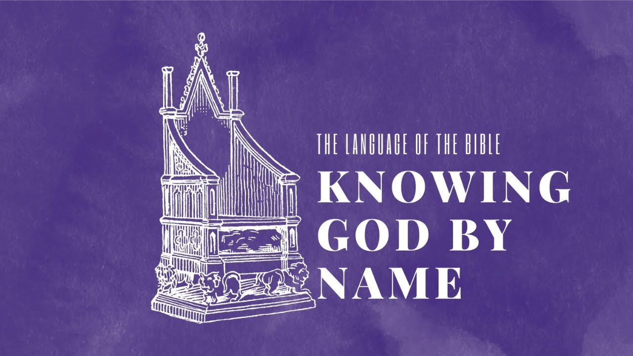 What does it mean that Jesus is the Son of Man?