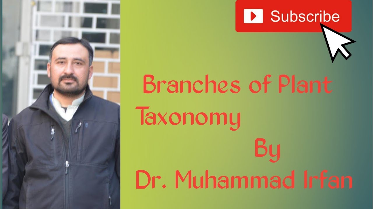 Branches of Plant Taxonomy | Plant Systematics | Plant Science