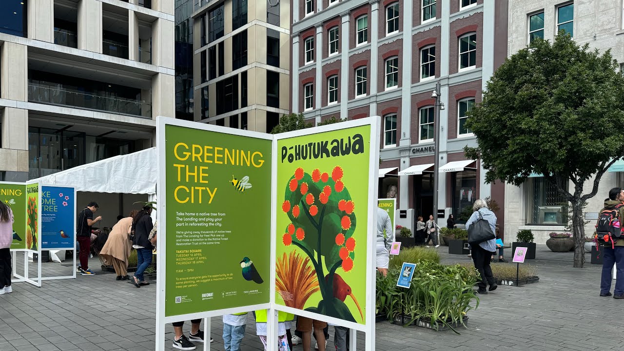 NZ Live🇳🇿 Greening Tamaki Makaurau Auckland🇳🇿New Zealand