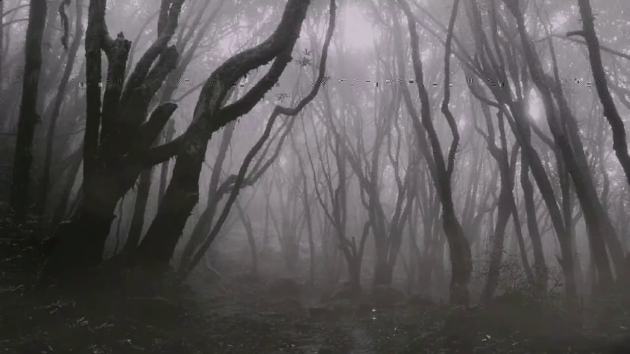 Silent Hill Tribute All the lost days Void 2018 08 04 20 14 13 59