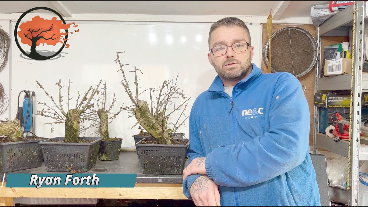 Update on Hawthorn Air layers (Feb 2023)