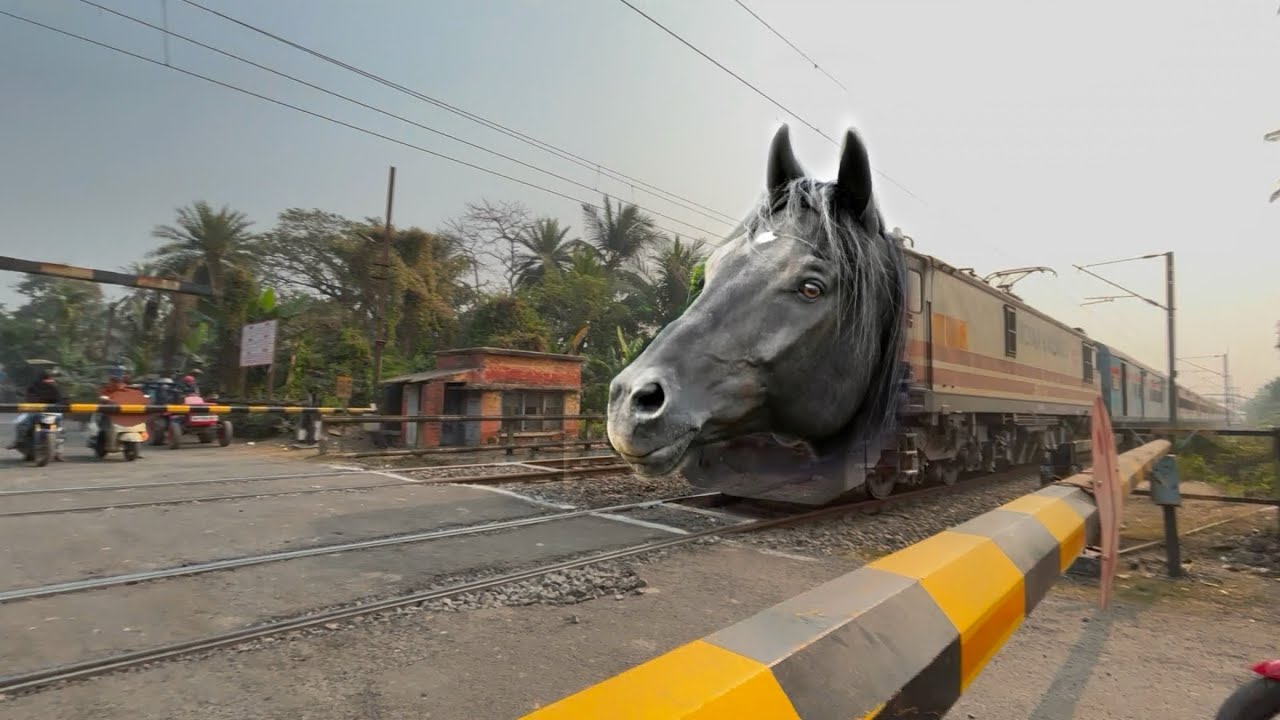 Dangerous Horse Headed Balurghat Express Furious Moving Throughout at Railgate 