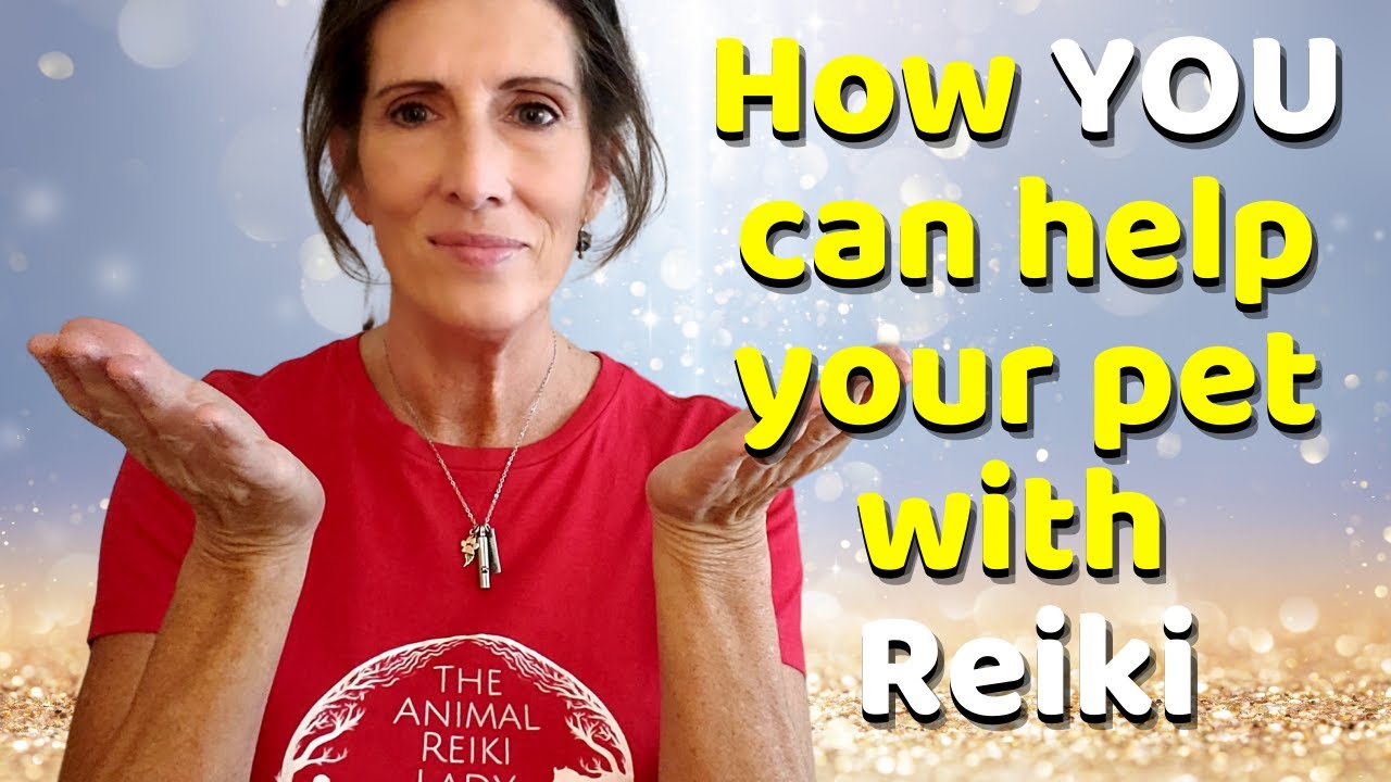 How YOU can help your pet with Reiki