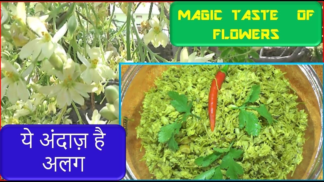 सहजन के फूलों की स्वादिष्ट सब्जी कैसे बनाये Drumstick Flower Curry Recipe Video Healthy Moringa Dish