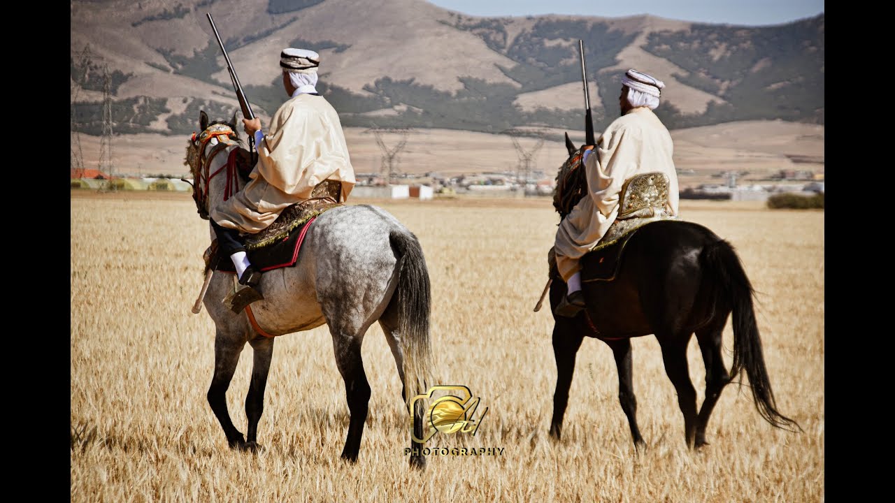 فرسان بلادي بارباس عين ولمان سطيف