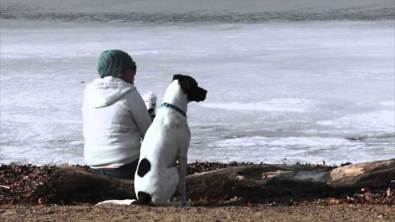 NEW Panasonic DVX200 Test Footage