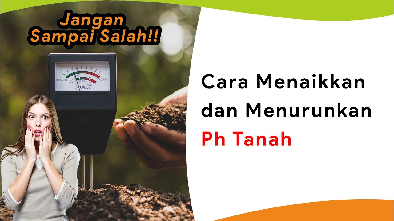 Cara Menaikkan dan Menurunkan pH Tanah!