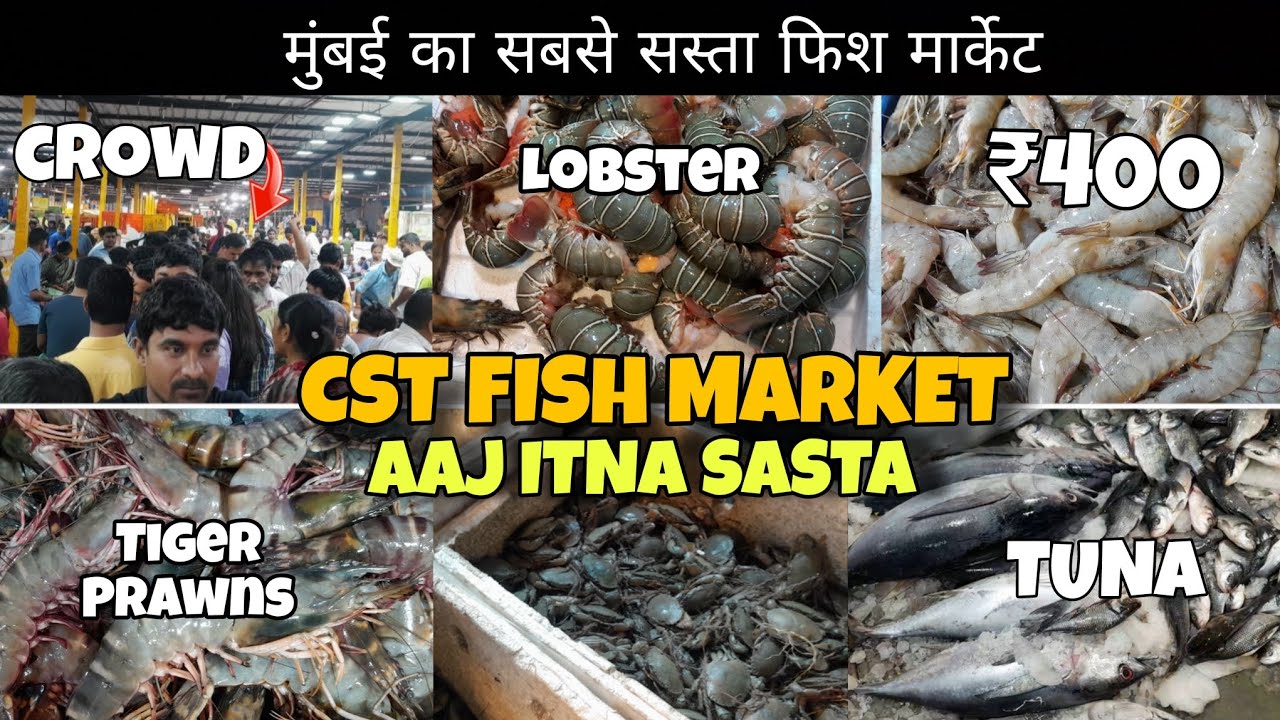 Mumbai CST Fish Market | Fish Market in Mumbai | Wholesale Fish Market | Fresh Fish Prices 😱