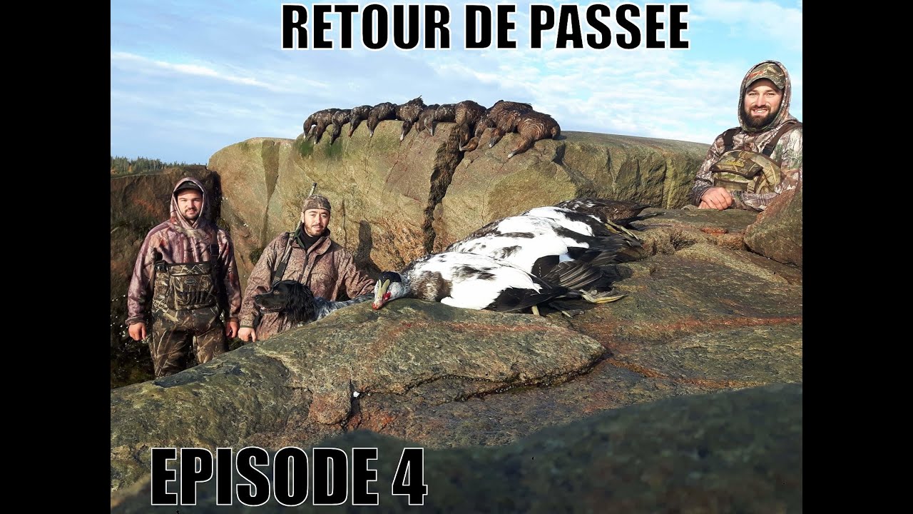 Retour de Passée - Episode 4: Des Canards de Mer Pour les Braves - Chasse au Gibier d'Eau