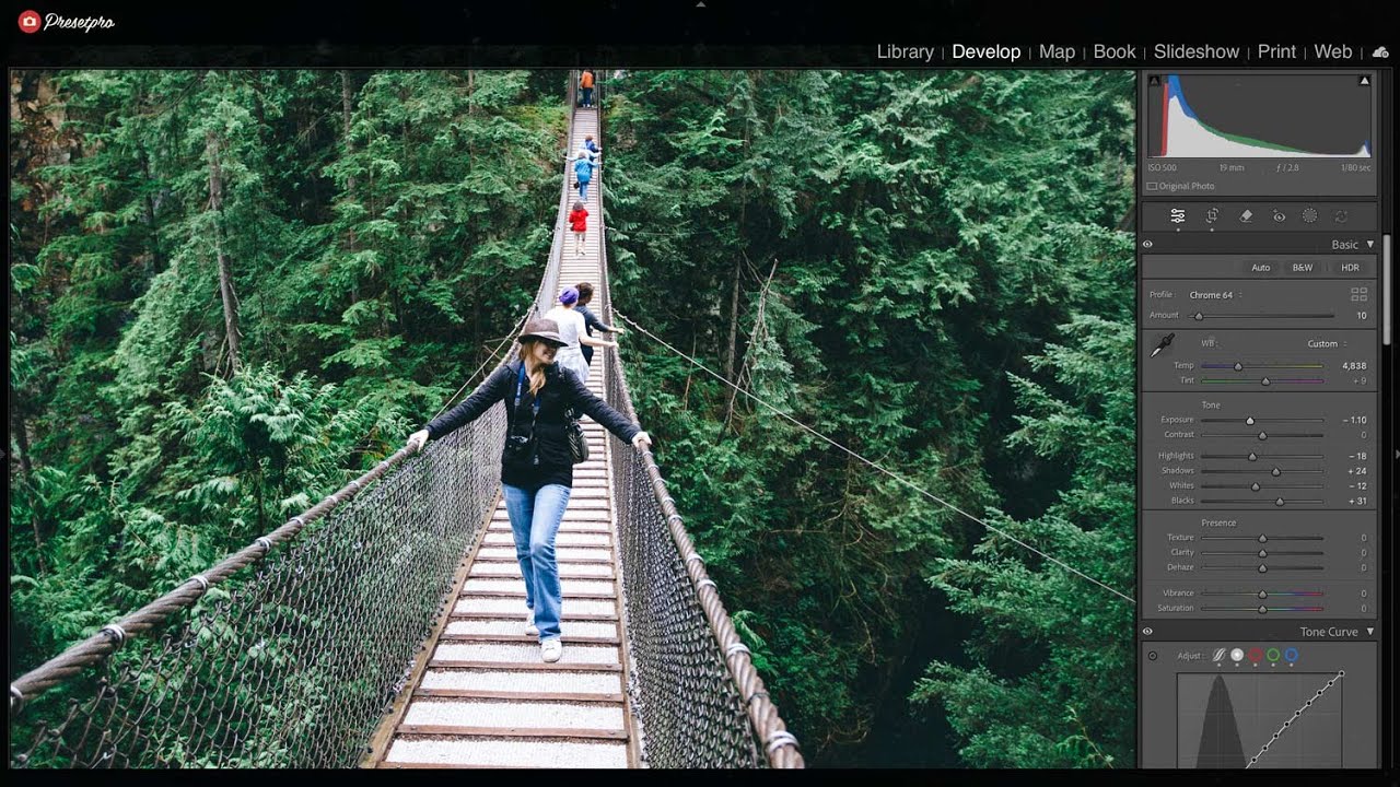 FREE Lightroom Preset "Fuji Green" Film Emulation