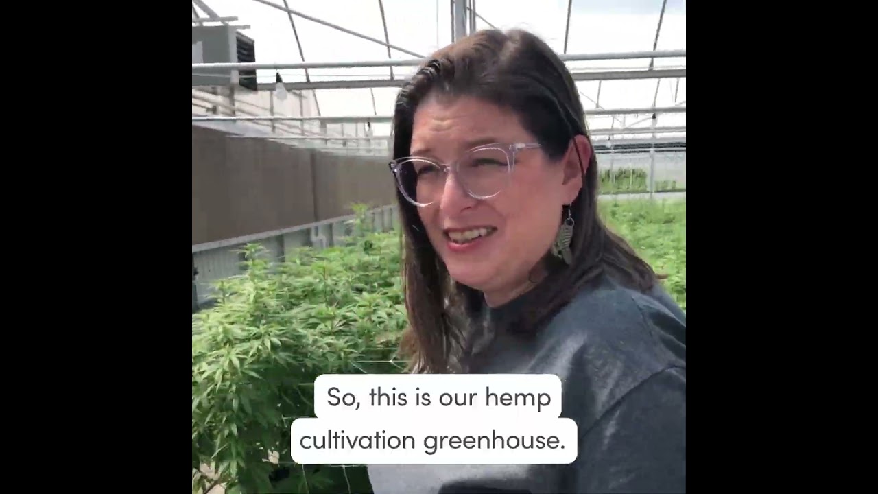 Fresh From Florida: A Hemp Cultivation Greenhouse