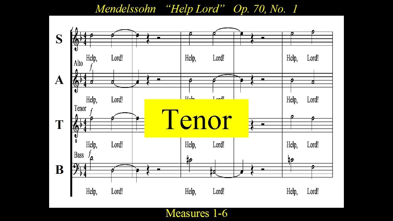 Mendelssohn - OP70 - Elijah -01 Help Lord - Tenor
