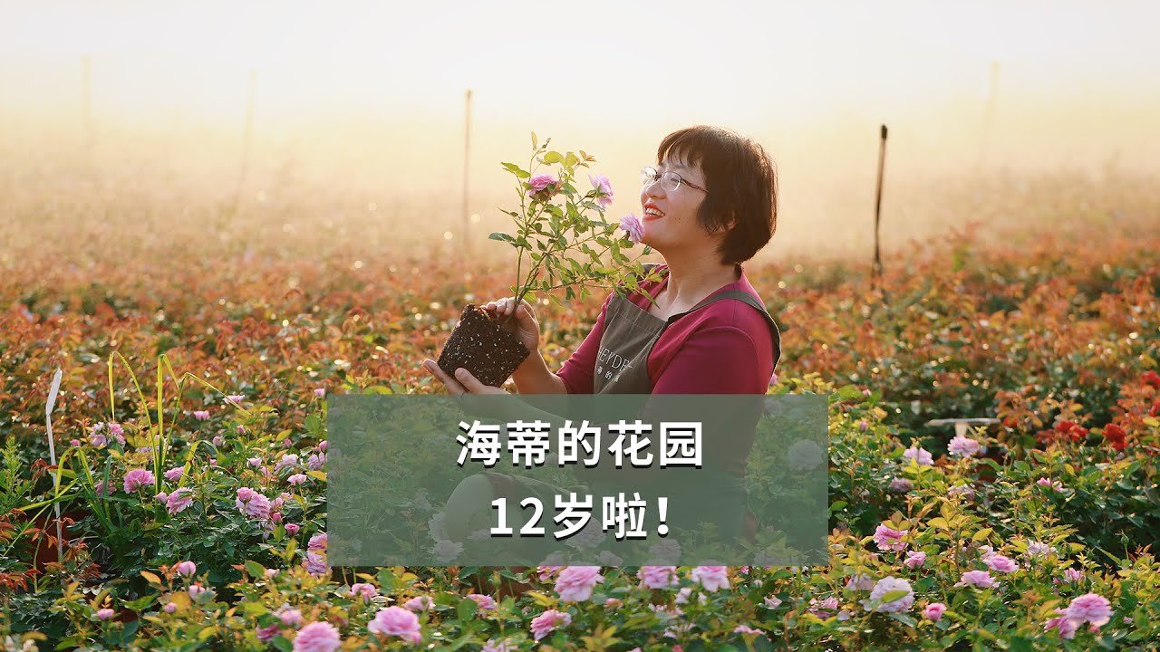 海蒂的花园十二岁啦！