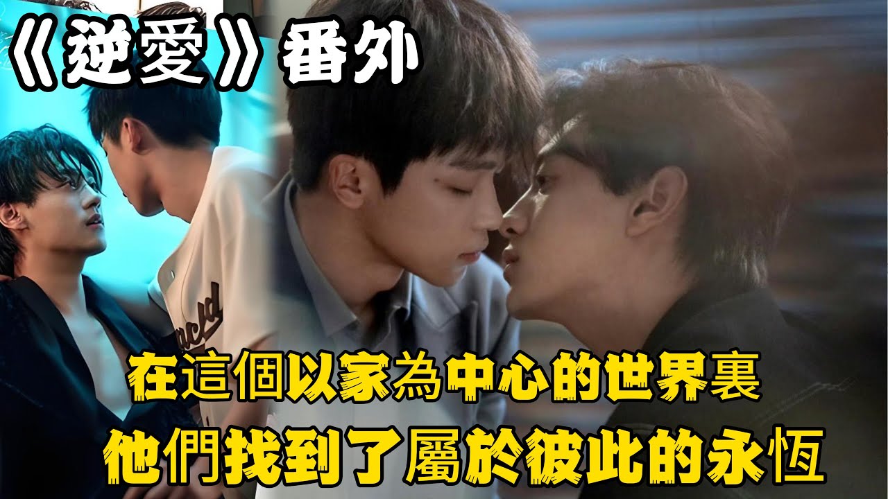 《逆愛》：番外！當池騁送的禮物是一件血紅色絲綢襯衫！在這個以家為中心的世界裏，他們找到了屬於彼此的永恆。#田栩宁 #梓渝 #吴所畏 #池骋 #逆爱 #revenged