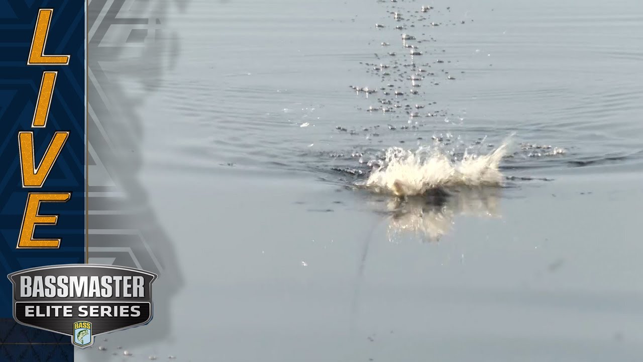 Trey McKinney keeping topwater honest at the St. Johns