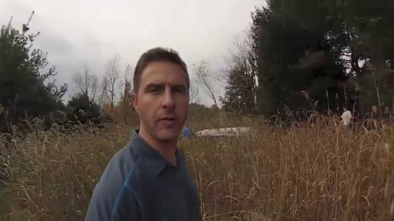Bobwhite Quail Restoration