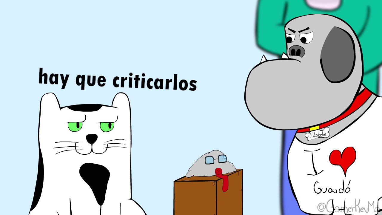 #POLITIGATO 48
