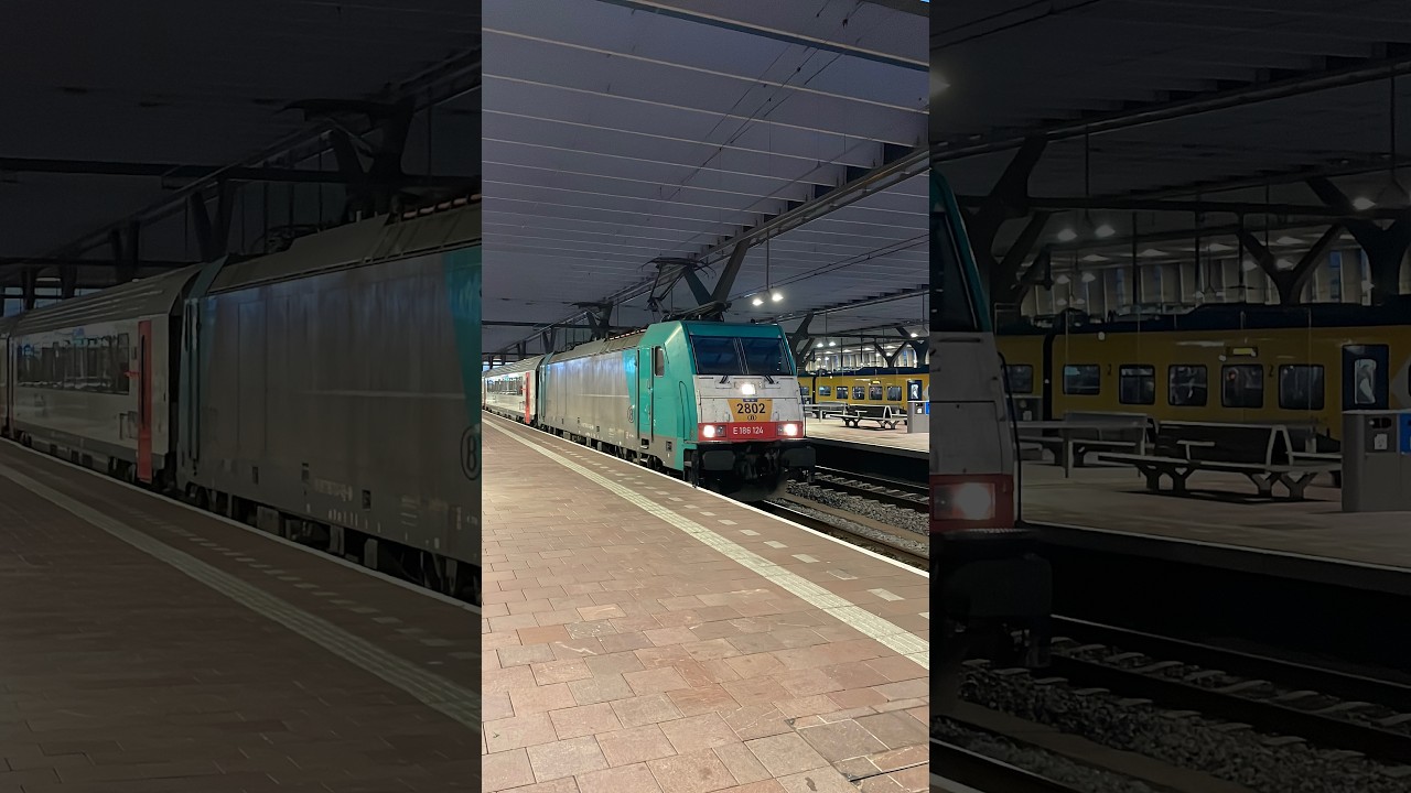 Trains at Rotterdam Centraal | 16/10/25